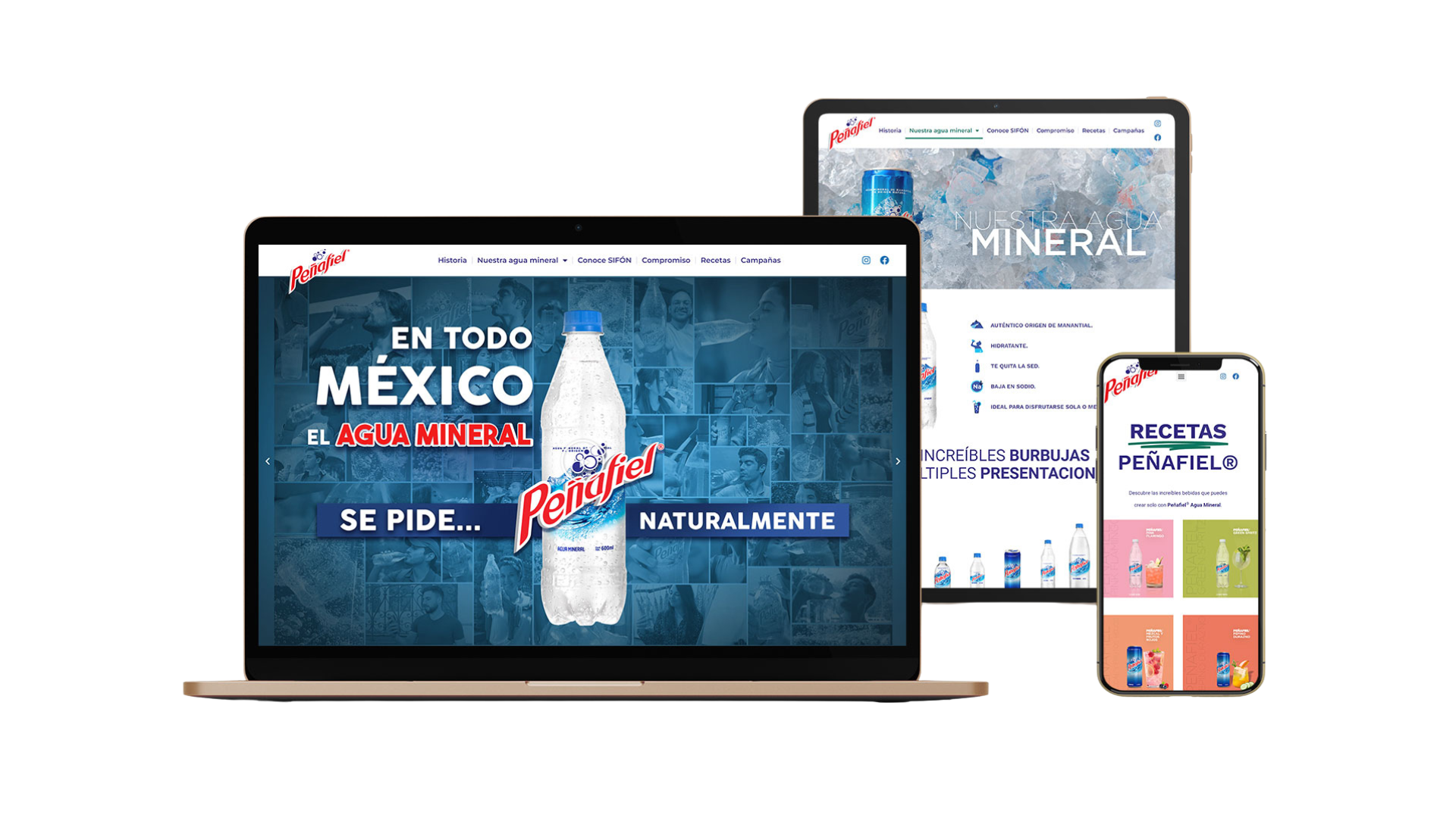 Mockup Portafolio Peñafiel